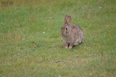 DSC_0726.JPG