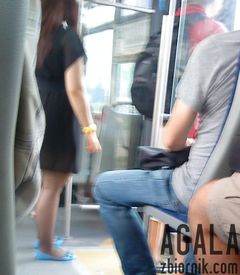 DSC03534cz.jpg