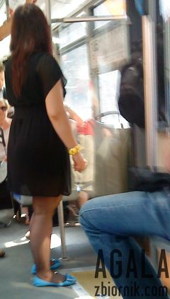 DSC03536cz.jpg