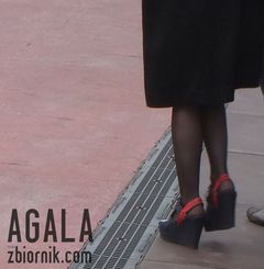 DSCF2885cz.jpg