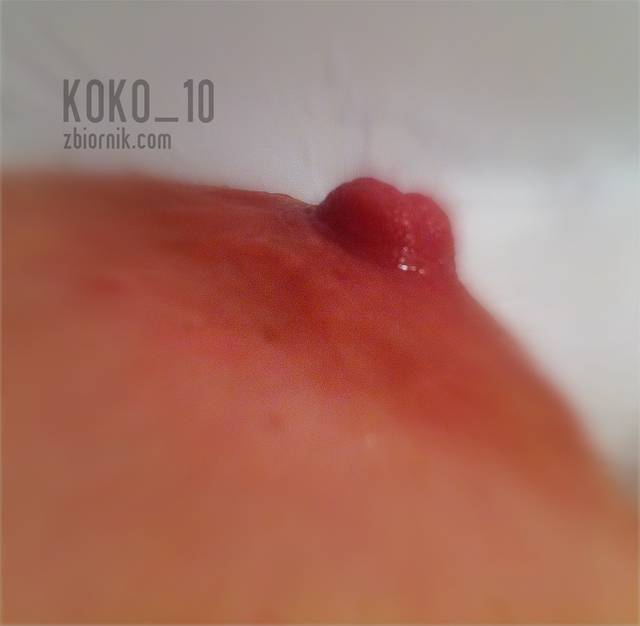 Suteczek - Koko_10