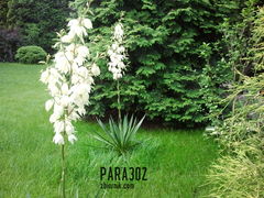 20130710_064656.jpg