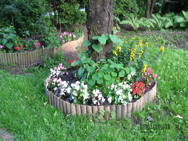 Ogród 17.07.13 001.jpg - lingawagina