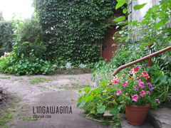 Ogród 17.07.13 008.jpg