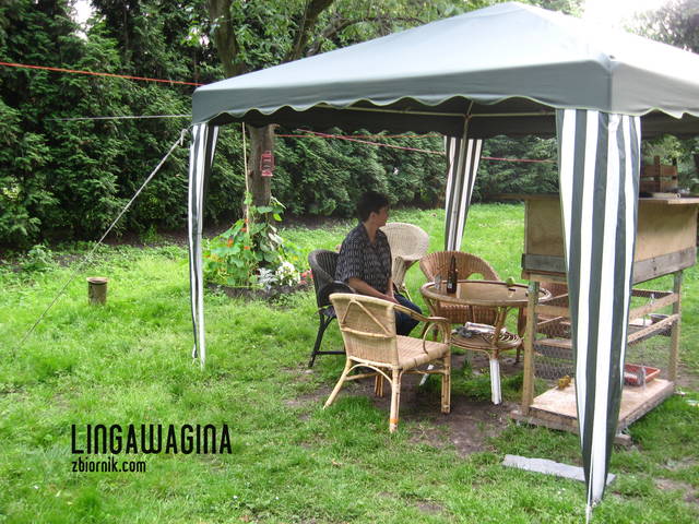 lingawagina