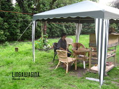 Ogród 17.07.13 013.jpg