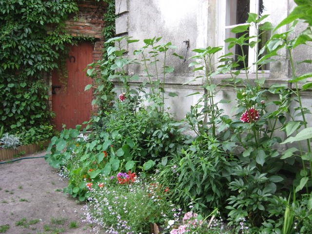 lingawagina