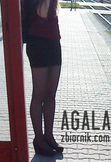 DSC03793odj.jpg - AGALA