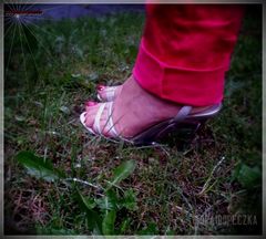 Srebrne #04