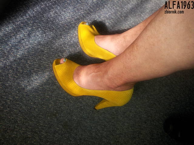 Alfa1963