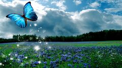Motyl