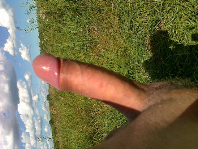 mieciu78