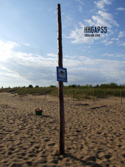 04-08-2013 - Hhgapss