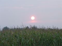 DSCF1247.JPG