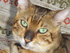DSC00197.JPG
