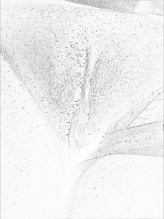 20130718_121508-8-9(7-10-45).jpg