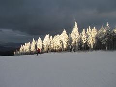 IMG_8034.JPG