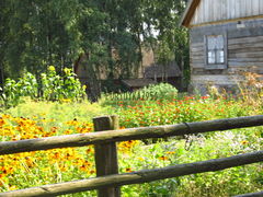 IMG_1656.JPG