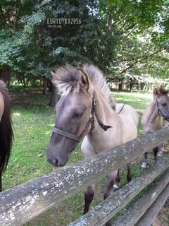 I MNIE TEZ:)