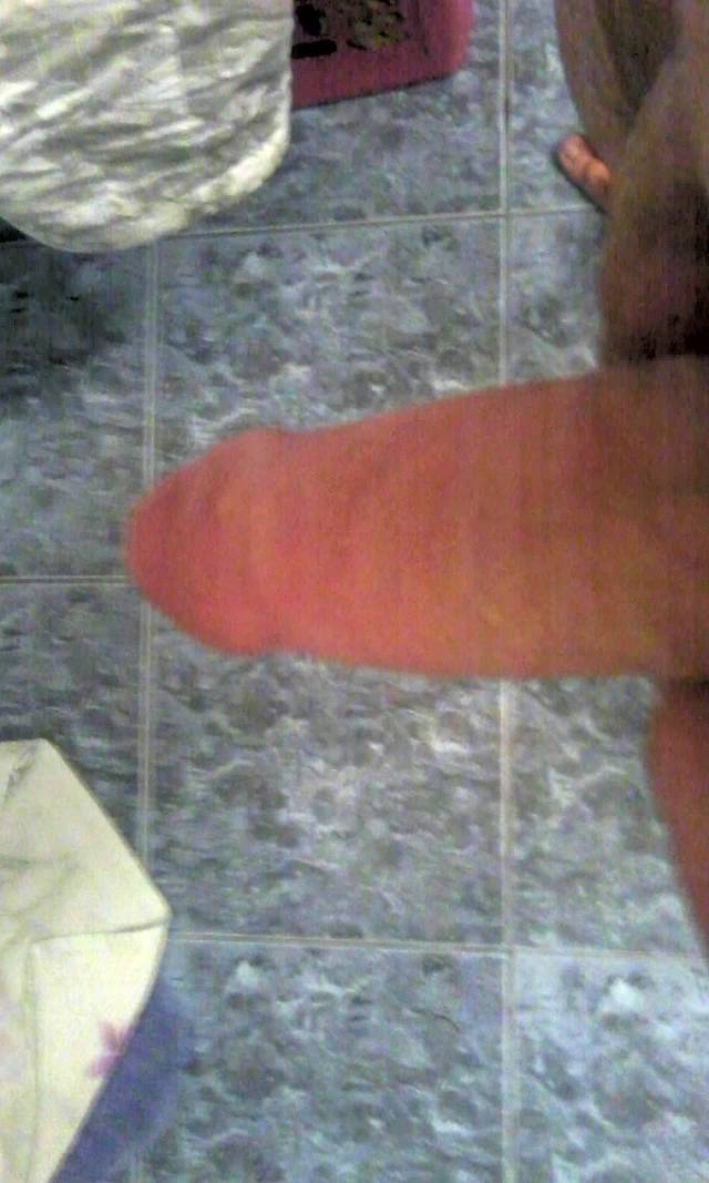 kaczor22