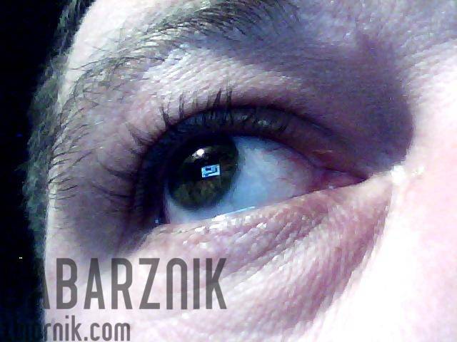 gabarznik