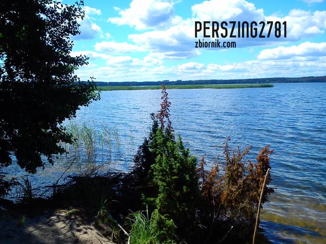 perszing2781