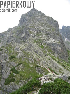Kościelec