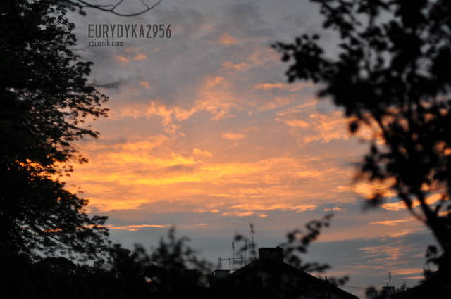 Mazury 2013 - Eurydyka2956