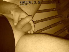 Penisek