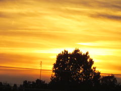 IMG_2868.JPG