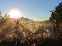 IMG_2898.JPG