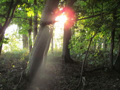IMG_2908.JPG