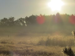 IMG_2890.JPG
