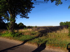 IMG_2018.JPG