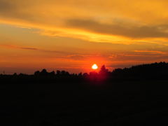 IMG_3116.JPG