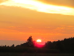 IMG_3125.JPG