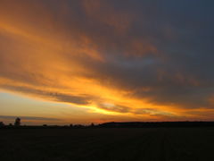 IMG_3138.JPG