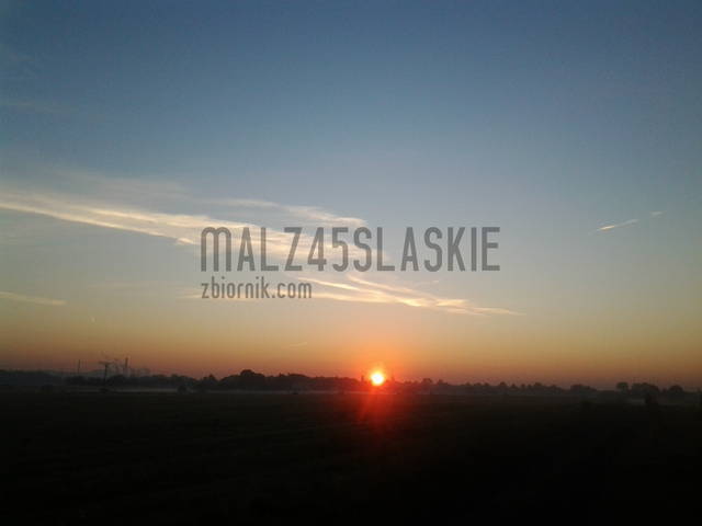 malz45slaskie