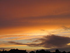 IMG_3199.JPG