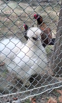2013-08-11 13.17.32.jpg