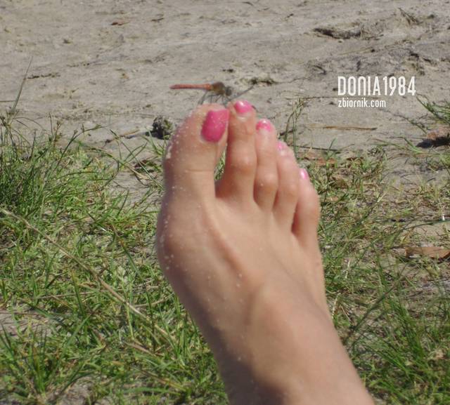donia1984