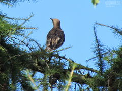 IMG_3289.JPG