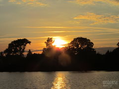 IMG_3415.JPG