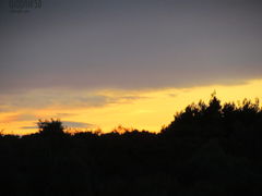 IMG_3527.JPG