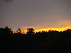 IMG_3537.JPG