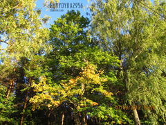 IMG_2023.JPG