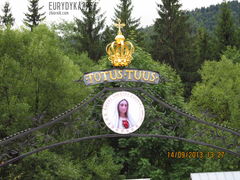 IMG_2453.JPG