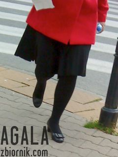 DSC04768cz.jpg