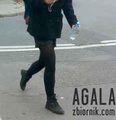 DSC04826cz.jpg