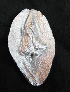Srebrna